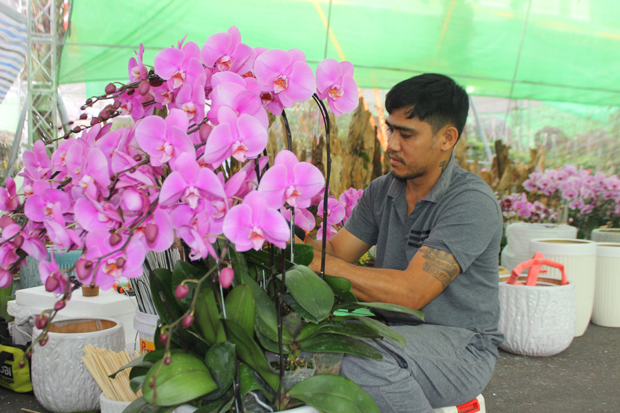 Anh Ali Phan (38 tuổi, hiện sinh sống tại TPHCM) là thợ cắm hoa lan, được một cửa hàng hoa mời thực hiện công việc trang trí lan phục vụ dịp Tết. img-6878.jpg