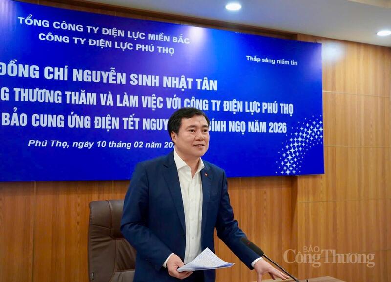 Thứ trưởng Nguyễn Sinh Nhật Tân phát biểu kết luận buổi làm việc.