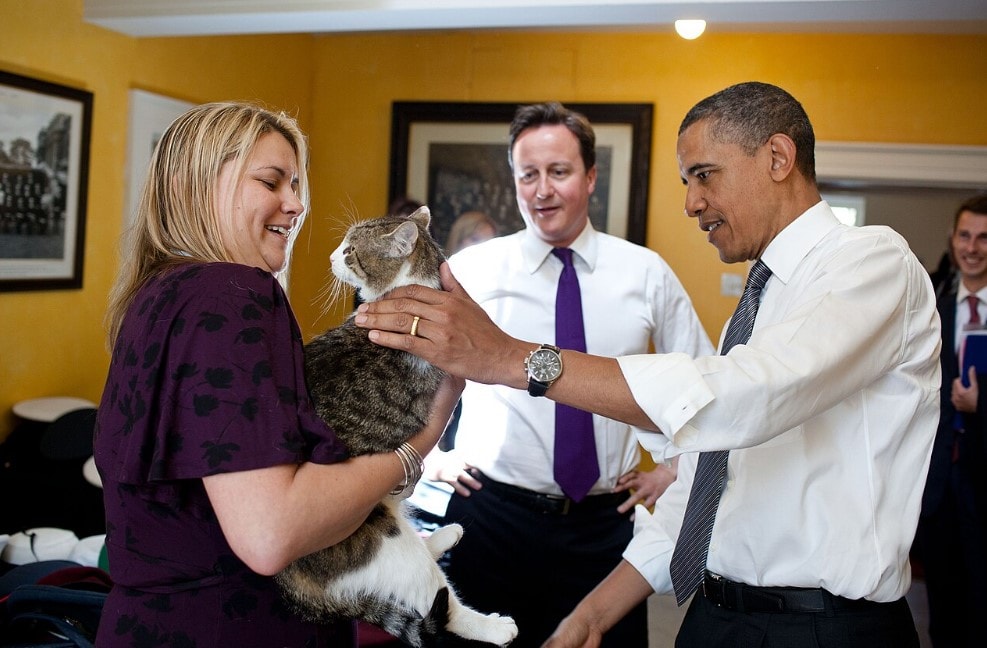 Screenshot 2026-02-15 212459