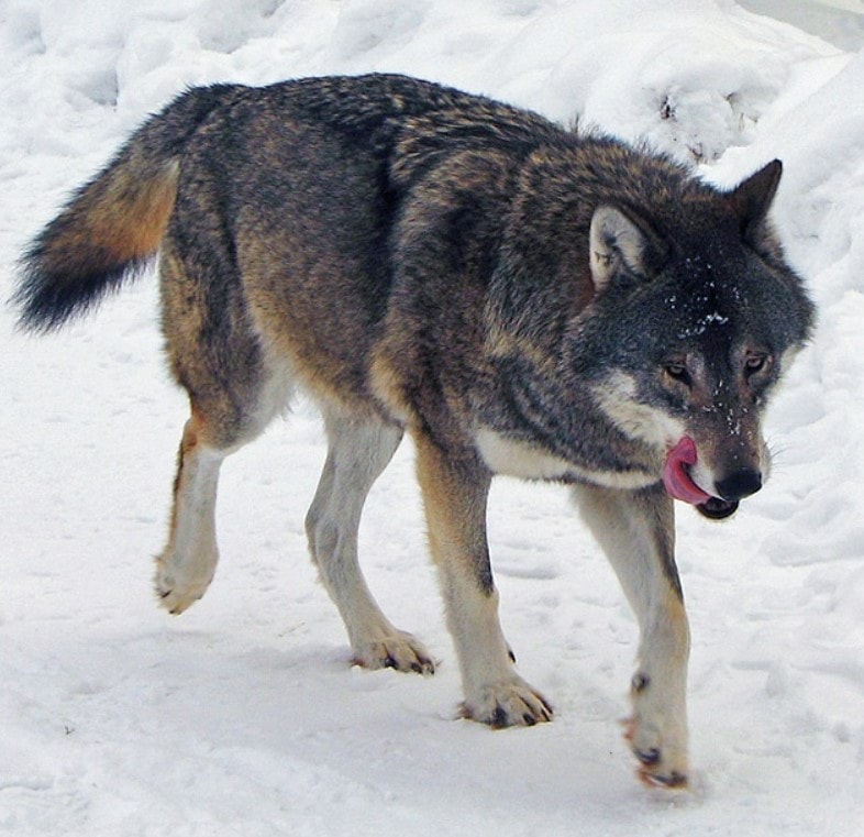 Screenshot 2026-02-20 233332