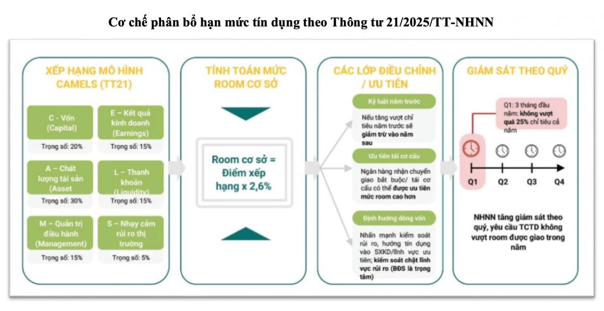 Nguồn: VNBA Nguồn: VNBA