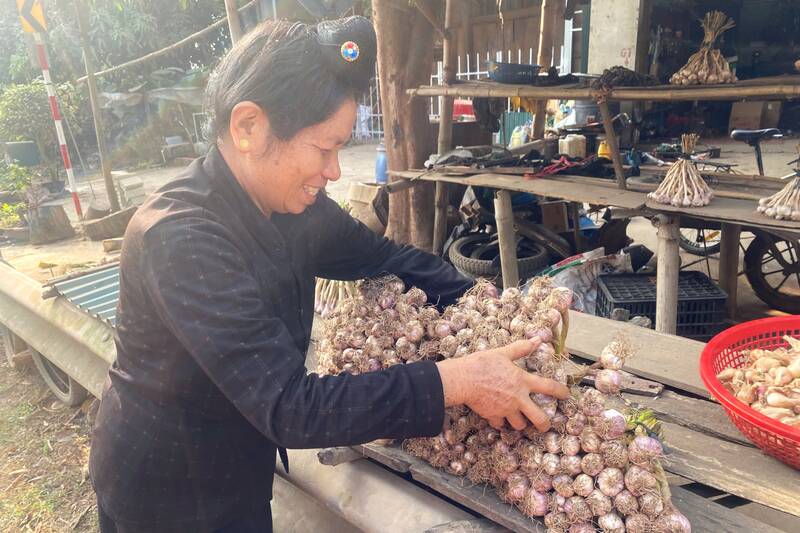 Tỏi tía Yên Châu được thu hoạch, phơi khô và bày bán ngay cạnh Quốc lộ 6. Ảnh: Trường Sơn