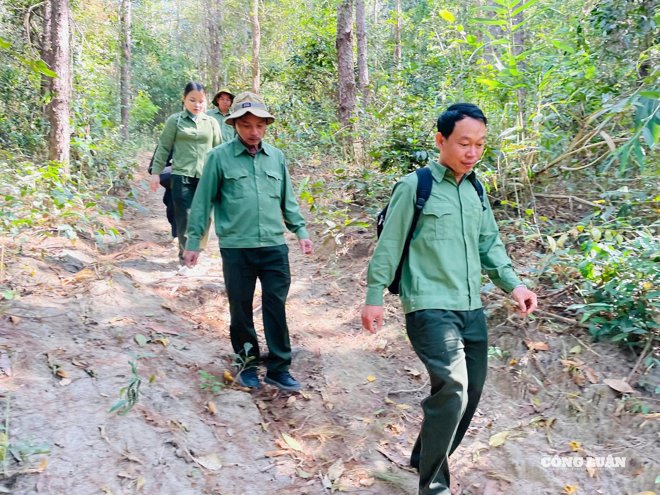 Trước những khó khăn, nguy hiểm, cơ quan chức năng đã có nhiều đề xuất để hỗ trợ chế độ, chính sách cho lực lượng bảo vệ rừng