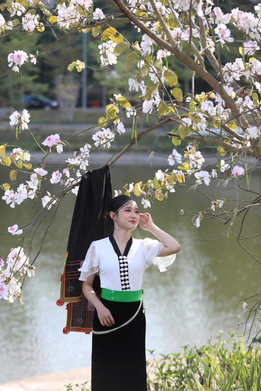 Thiếu nữ Điện Biên duyên dáng tạo dáng bên sắc trắng hoa ban. hoa-ban-va-mach-nguon-van-hoa-dien-bien-2.jpg