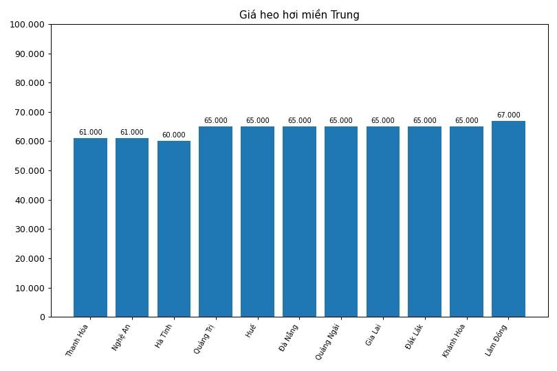 Giá heo hơi hôm nay 31.3 tại khu vực miền Trung. Đồ hoạ: Thuỳ Linh