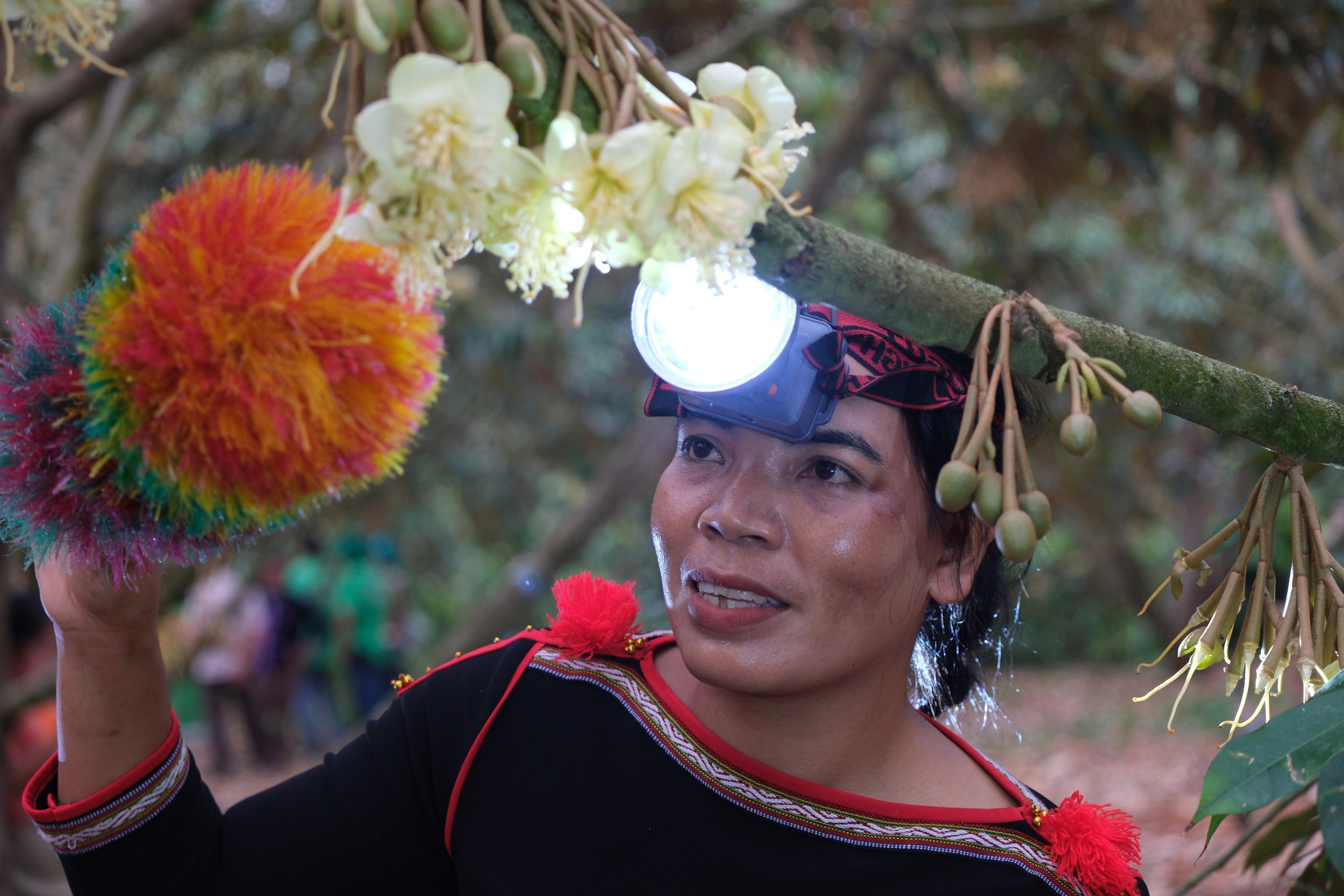 Trải nghiệm thực hiện quy trình “Thụ phấn hoa sầu riêng”