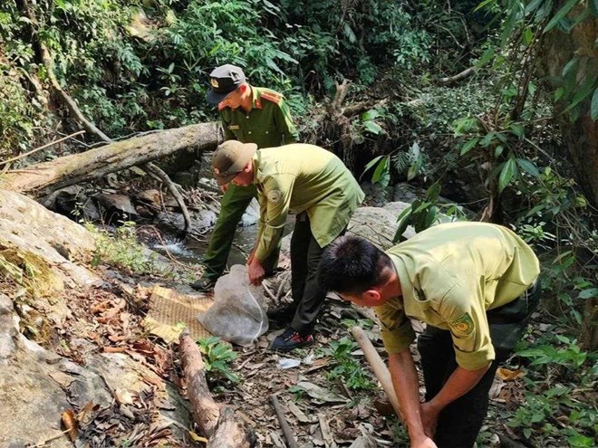 Người dân Lâm Đồng tự nguyện giao nộp trăn, khỉ quý hiếm cho công an