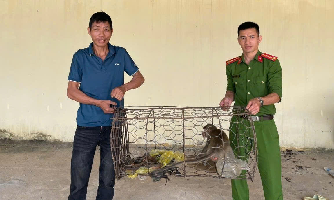Người dân giao nộp khỉ đuôi dài quý hiếm. Ảnh: Công an cung cấp