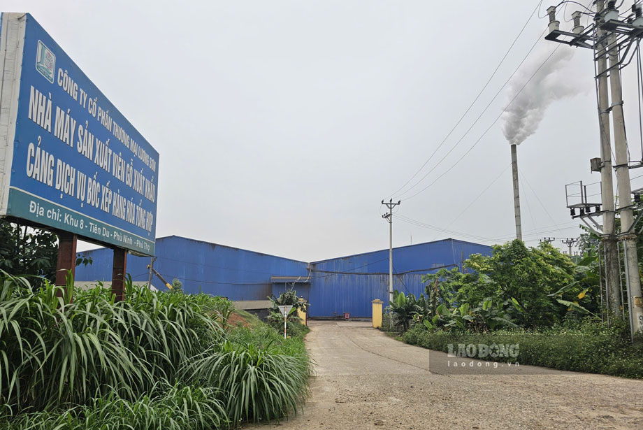 Sau phản ánh, nhà máy sản xuất viên nén gỗ xuất khẩu cam kết đảm bảo môi trường