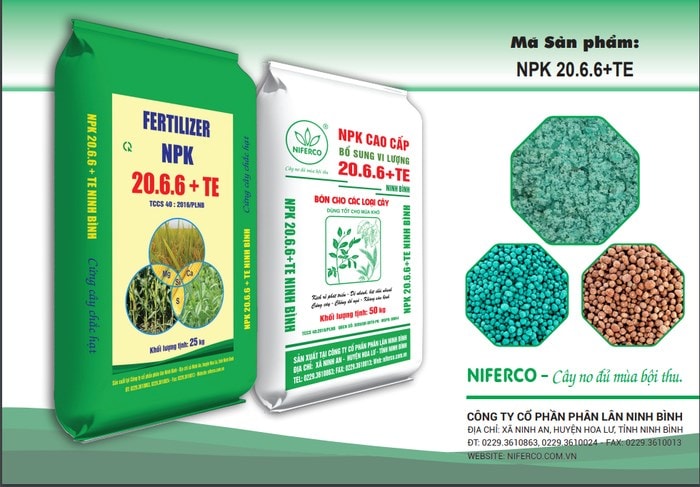 Sử dụng phân bón của Phân Lân Ninh Bình cây no đủ, cho mùa bội thu.