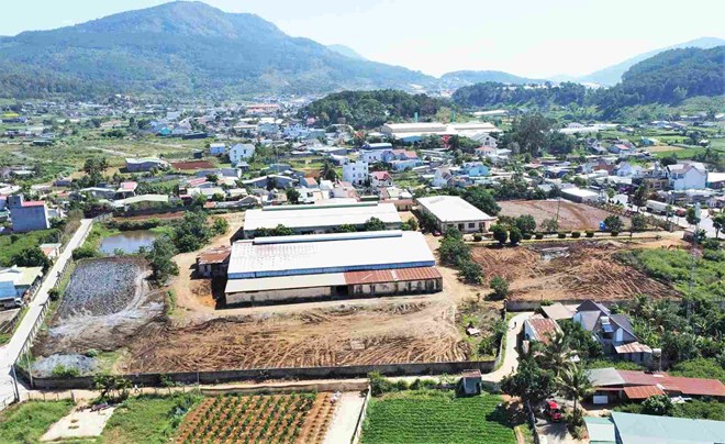 Doanh nghiệp tập kết phân bò gây mùi hôi, người dân khốn khổ