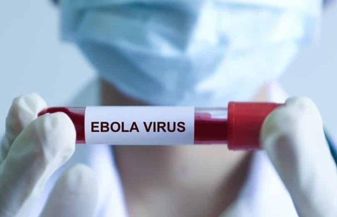 Dịch sốt xuất huyết do virus Ebola gây ra đang là sự kiện y tế khẩn cấp. Ảnh: WHO 3-4693-9266.jpg