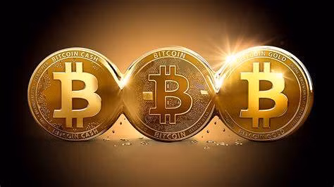 Hình minh họa đồng Bitcoin. Ảnh: Blogspot Hình minh họa đồng Bitcoin. Ảnh: Blogspot