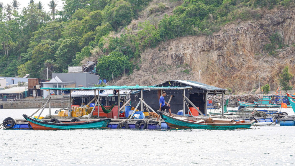 Những lồng bè không chỉ là nơi che mưa che nắng mà còn là cơ ngơi được người dân dày công vun đắp từ nghề biển, trở thành điểm tựa để nhiều hộ gia đình ổn định cuộc sống và phát triển kinh tế tại đặc khu Kiên Hải, tỉnh An Giang Những lồng bè không chỉ là nơi che mưa che nắng mà còn là cơ ngơi được người dân dày công vun đắp từ nghề biển, trở thành điểm tựa để nhiều hộ gia đình ổn định cuộc sống và phát triển kinh tế tại đặc khu Kiên Hải, tỉnh An Giang