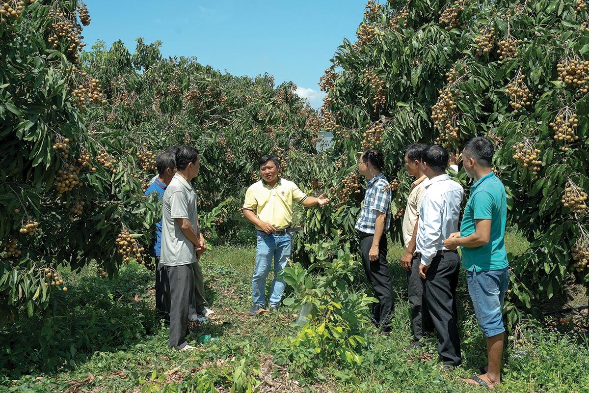 PVCFC: Kế thừa để bứt phá PVCFC: Kế thừa để bứt phá