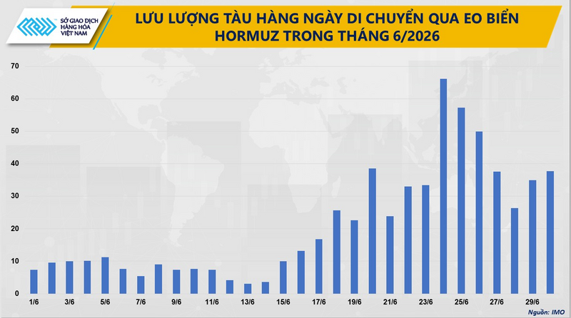 Lưu lượng tàu hằng ngày di chuyển qua eo biển Hormuz trong tháng 6. Nguồn: MXV