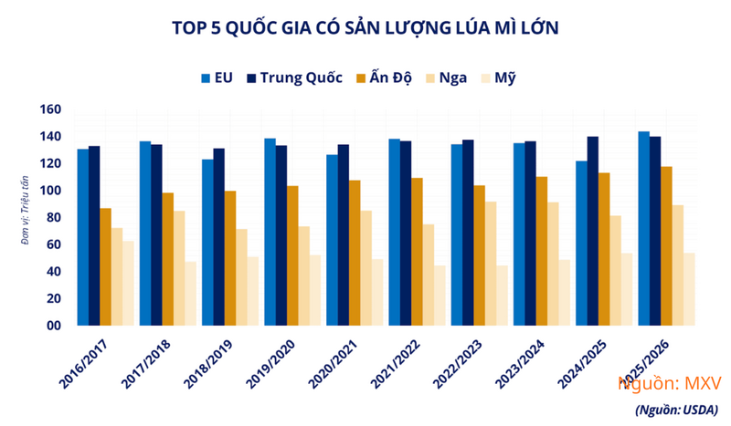 Top 5 quốc gia có sản lượng lúa mì lớn.
