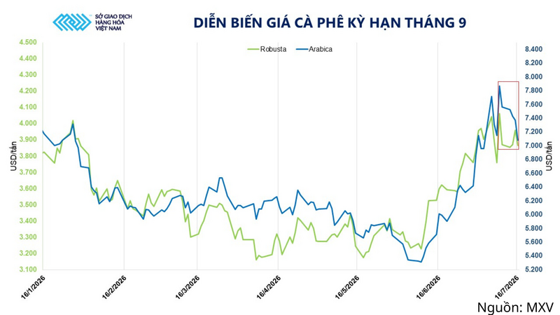 Diễn biến giá cà phê kỳ hạn tháng 9