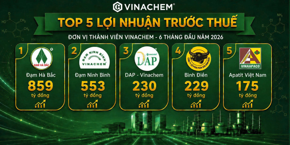 Top 5 doanh nghiệp có lợi nhuận ấn tượng trong Tập đoàn. 4.jpg