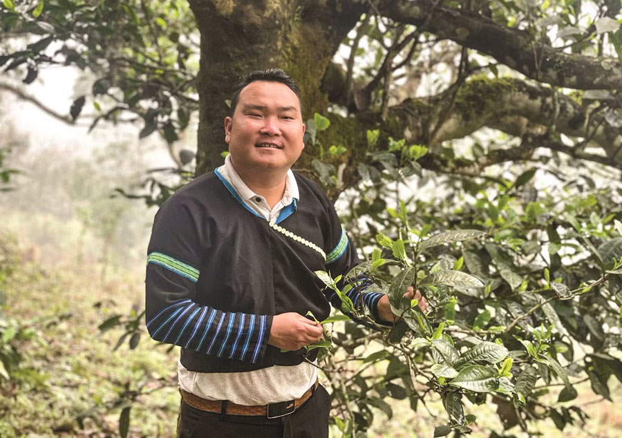Anh Sùng A Tủa.