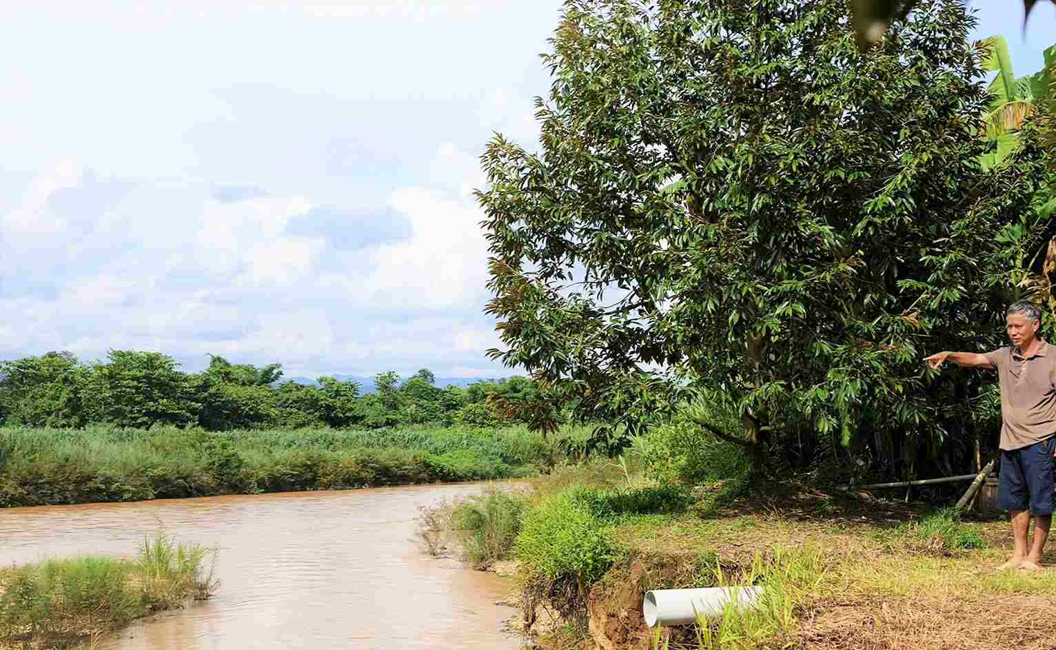 Sạt lở kéo dài cuốn trôi hơn 5.000m² đất trồng bưởi, sầu riêng của gia đình ông Lữ Văn Tân ven sông Đạ Quay, xã Đạ Tẻh 2. Ảnh: Phúc Khánh