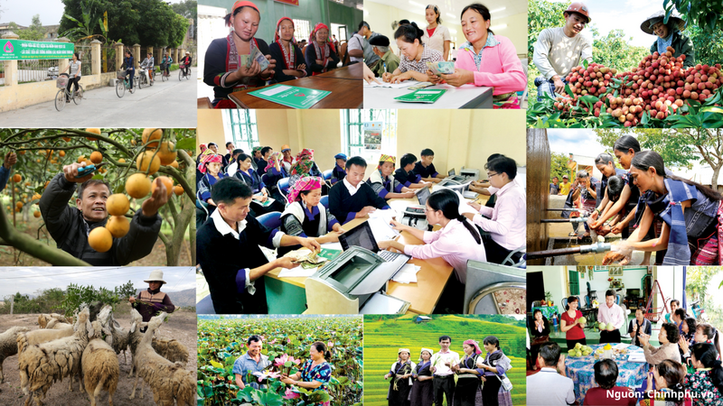 Bộ Tài chính công bố quy trình đăng ký hoạt động mới của Ngân hàng Chính sách xã hội.