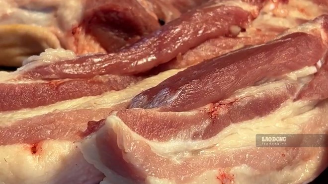 Giá heo hơi hôm nay 6.8: Giảm đồng loạt, thấp nhất chỉ còn 59.000 đồng/kg