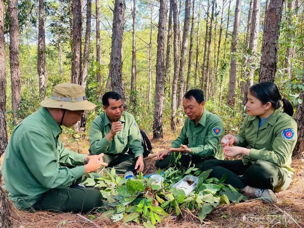 Lực lượng bảo vệ rừng chuyên trách ở Gia Lai mong muốn được quan tâm từ chế độ chính sách đến điều kiện làm việc. Ảnh: Trần Hiền. 1785985564932-2146614995054802874-7020462797444541469-ad5d384dd63075ec4f726accf093b82c.jpg