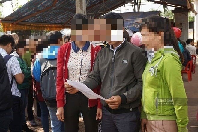 Buộc thi hành án vụ 6 giáo viên ở Đắk Lắk bị chấm dứt hợp đồng trái quy định