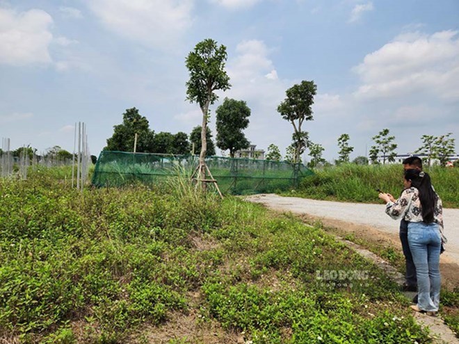 Giá đất do Nhà nước quyết định, không để bị thao túng, hình thành giá ảo