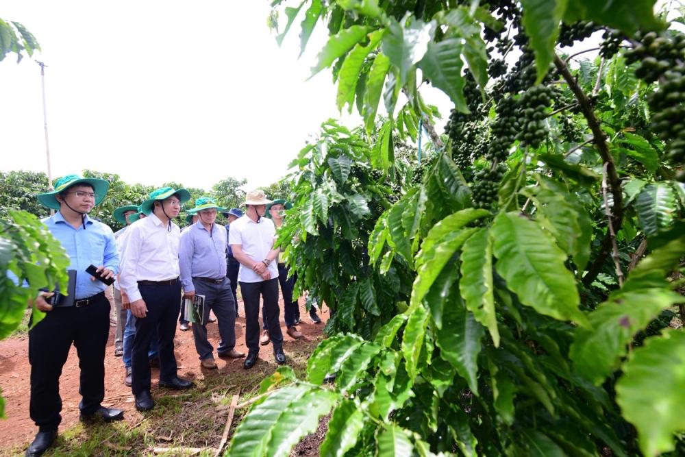 Cổ phiếu ngành phân bón trước bước ngoặt mới của chu kỳ giá Cổ phiếu ngành phân bón trước bước ngoặt mới của chu kỳ giá