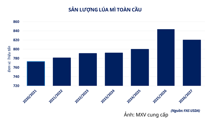 Sản lượng lúa mì toàn cầu