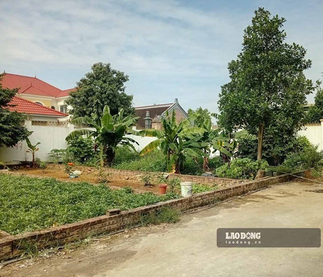 Áp lực thoát hàng gia tăng, đất nền được rao cắt lỗ sâu