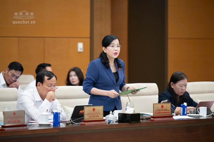 Chủ nhiệm Ủy ban Khoa học, Công nghệ và Môi trường của Quốc hội Nguyễn Thanh Hải trình bày báo cáo thẩm tra sơ bộ dự án Luật sửa đổi, bổ sung một số điều của Luật Điện lực. Ảnh: Vũ Hiếu