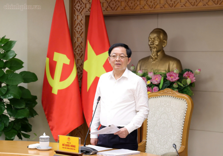 Phó Thủ tướng Hồ Quốc Dũng kết luận cuộc họp - Ảnh: chinhphu.vn/Gia Huy
