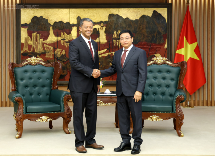 Phó Thủ tướng Nguyễn Văn Thắng tiếp ông Linh Austin, Chủ tịch kiêm Giám đốc điều hành của Công ty R3 Lithium - Ảnh chinhphu.vn/Đức Tuân
