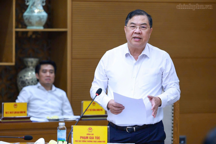 Phó Thủ tướng Thường trực Chính phủ Phạm Gia Túc phát biểu tại cuộc họp - Ảnh: chinhphu.vn/Nhật Bắc