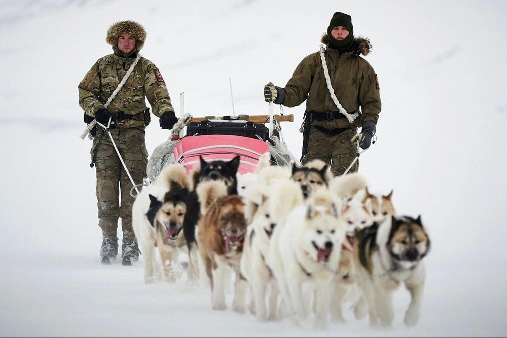 Hai binh sĩ trong đội Sirus cùng đàn chó kéo xe. Ảnh: Reddit the-sirius-dog-sled-patrol-fro-5649-2513.jpg