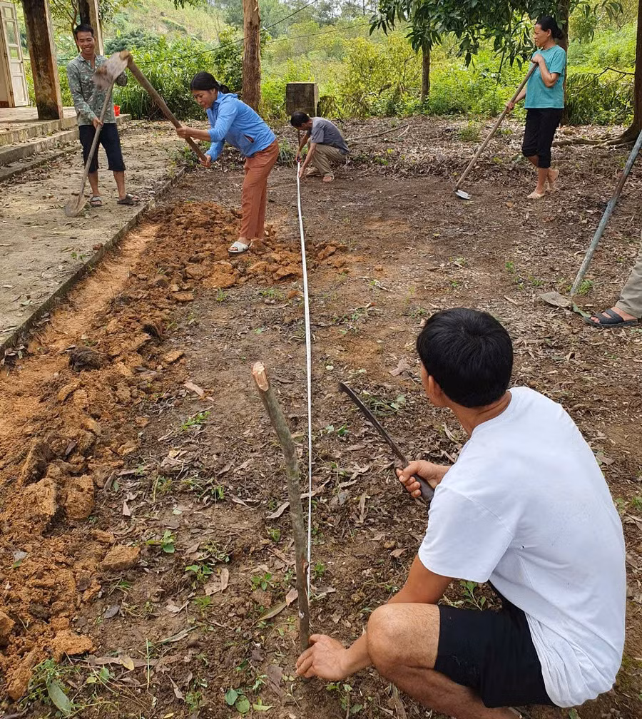 Người dân được trang bị kiến thức về lựa chọn giống, kỹ thuật trồng và chăm sóc cây. Ảnh NTCC. hat-de-1.jpg
