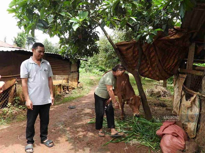 Đắk Lắk dự kiến chi hơn 762 tỉ đồng đối ứng thực hiện chương trình mục tiêu quốc gia
