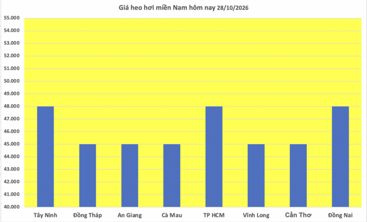 Giá heo hơi hôm nay 28/10/2026: Nối đà giảm, cao nhất 48.000 đồng/kg - 3