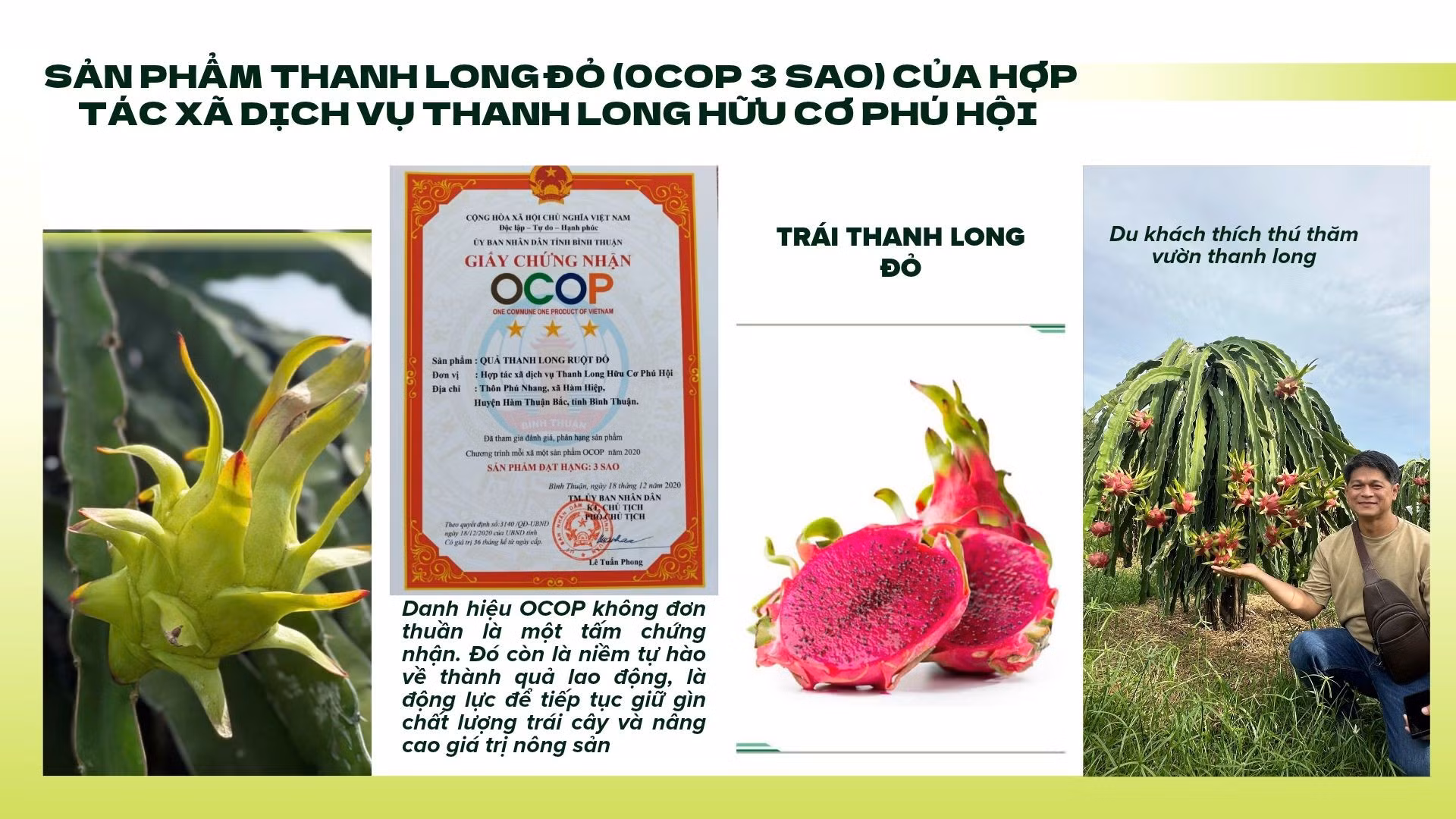 xanh-vang-hien-dai-bai-luan-du-lich-viet-nam-bai-thuyet-trinh-2.jpg